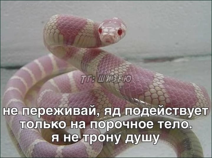 - Я так больше не могу! - Тогда зачем продолжаешь?